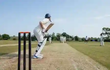 Cricket Pitch at Atul Hillfront